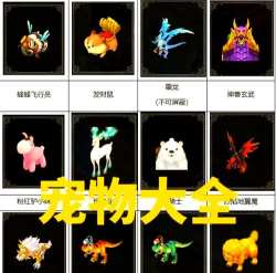 起源幻想最强宠物推荐 T0宠物排行 起源幻想最强宠物推荐 T0宠物排行