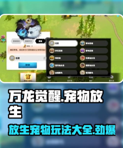 万龙觉醒如何放生宠物 万龙觉醒如何放生宠物