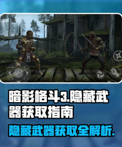暗影格斗3隐藏武器如何获得 暗影格斗3隐藏武器如何获得