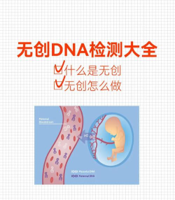 变种基因怎么不卡 变种基因要使用加速器吗 变种基因怎么不卡 变种基因要使用加速器吗
