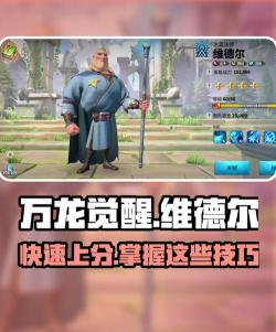 万龙觉醒维德尔怎么样 万龙觉醒维德尔怎么样