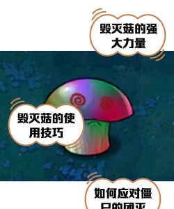 《植物大战僵尸2》毁灭菇大招强度全解析 《植物大战僵尸2》毁灭菇大招强度全解析