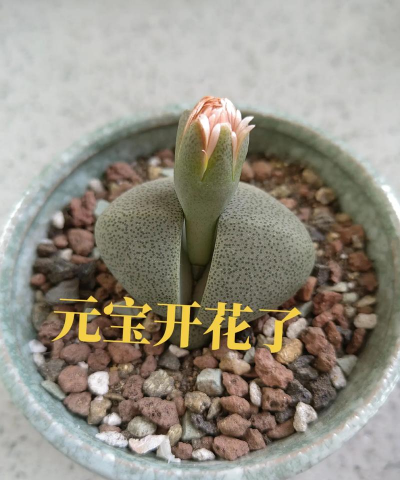 百战群英元宝应该怎么花 百战群英元宝应该怎么花