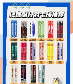 2026好玩的羽毛球游戏排行榜前十名推荐:高人气羽毛球手游下载盘点 2026好玩的羽毛球游戏排行榜前十名推荐:高人气羽毛球手游下载盘点