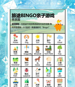 bingo游戏怎么玩 bingo游戏怎么玩