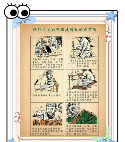 庇护所游戏攻略 庇护所游戏攻略