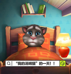 猫喜欢玩什么游戏 猫喜欢玩什么游戏