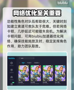 APEX加速器哪个专业 APEX加速器哪个专业