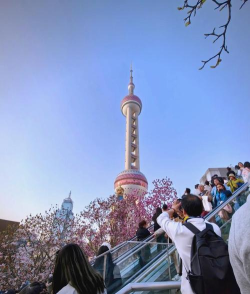 上海手托游 上海手托游