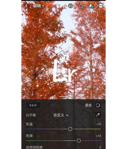 手机版ps软件下载地址介绍 手机版ps软件下载地址介绍