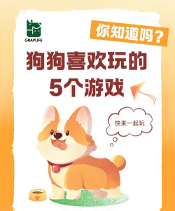 狗狗为什么游戏,天性使然,快乐源泉 狗狗为什么游戏,天性使然,快乐源泉