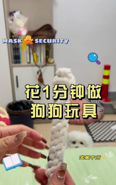 狗狗童年游戏怎么玩,互动乐趣多,增进感情好方法 狗狗童年游戏怎么玩,互动乐趣多,增进感情好方法