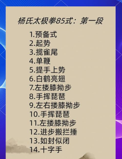 什么游戏可以打太极,虚拟空间练太极,游戏健身新选择 什么游戏可以打太极,虚拟空间练太极,游戏健身新选择