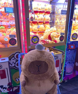 对偶游戏0.16攻略,新手快速入门指南,全流程通关技巧解析 对偶游戏0.16攻略,新手快速入门指南,全流程通关技巧解析