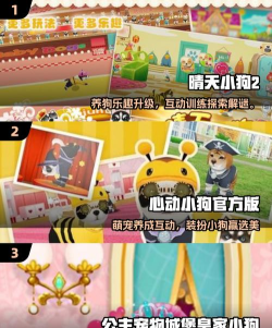 狗狗游戏攻略视频,轻松通关秘籍,萌宠养成全解析 狗狗游戏攻略视频,轻松通关秘籍,萌宠养成全解析