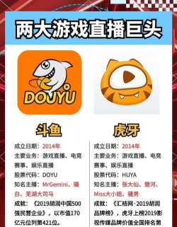 斗鱼是什么游戏项目,直播平台巨头,游戏内容生态核心 斗鱼是什么游戏项目,直播平台巨头,游戏内容生态核心