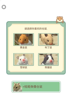 仓鼠酒吧游戏怎么玩,新手入门指南,快速掌握核心玩法 仓鼠酒吧游戏怎么玩,新手入门指南,快速掌握核心玩法