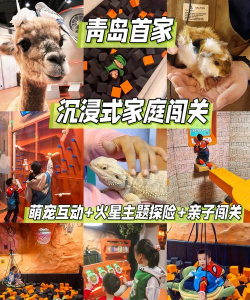 浣熊室内游戏,轻松上手攻略,亲子互动乐趣多 浣熊室内游戏,轻松上手攻略,亲子互动乐趣多