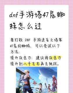 蜘蛛室内游戏怎么玩,掌握规则技巧,体验团队协作乐趣 蜘蛛室内游戏怎么玩,掌握规则技巧,体验团队协作乐趣