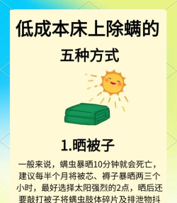 消灭螨虫游戏,轻松上手攻略,掌握技巧快速通关 消灭螨虫游戏,轻松上手攻略,掌握技巧快速通关