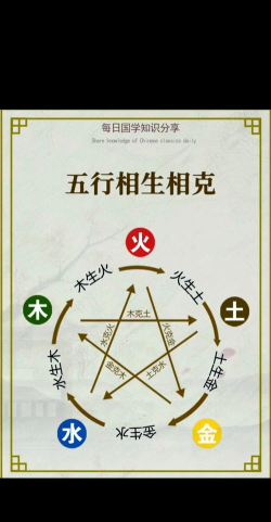 问道手游木和金,五行相生相克,职业选择全解析 问道手游木和金,五行相生相克,职业选择全解析
