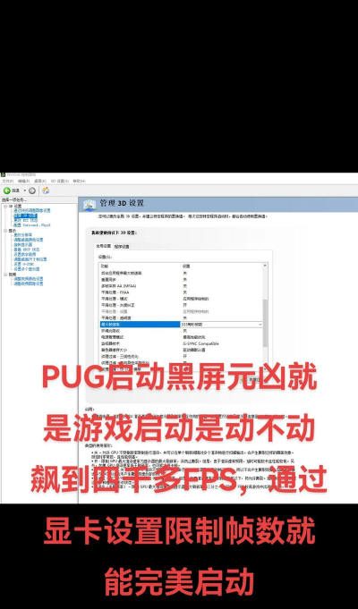 ChickenChicken黑屏闪退卡顿延迟丢包怎么办 ChickenChicken黑屏闪退卡顿延迟丢包怎么办