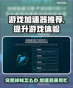 ChickenChicken加速器怎么选 ChickenChicken加速器怎么选