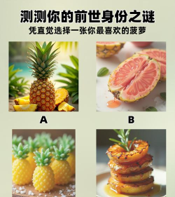 菠萝字谜游戏怎么玩,轻松上手技巧,趣味解谜攻略 菠萝字谜游戏怎么玩,轻松上手技巧,趣味解谜攻略