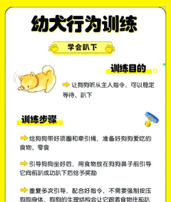 超大狗头游戏,轻松上手攻略,掌握核心玩法技巧 超大狗头游戏,轻松上手攻略,掌握核心玩法技巧