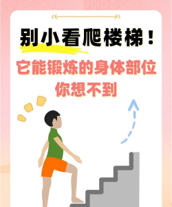 爬楼登高游戏怎么玩,掌握核心技巧,轻松挑战极限 爬楼登高游戏怎么玩,掌握核心技巧,轻松挑战极限