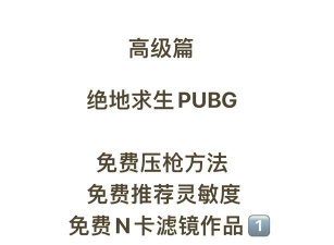 手游求生游戏攻略,掌握核心生存技巧,轻松应对各种挑战 手游求生游戏攻略,掌握核心生存技巧,轻松应对各种挑战