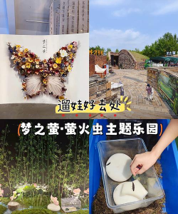 流萤宝宝是什么游戏,揭秘治愈系养成玩法,体验温馨互动乐趣 流萤宝宝是什么游戏,揭秘治愈系养成玩法,体验温馨互动乐趣