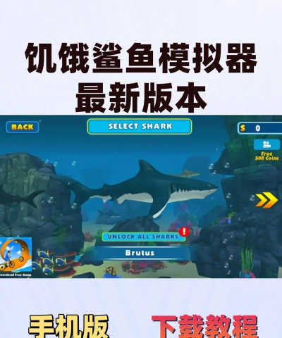 鲨鱼消除游戏攻略,轻松掌握高分技巧,快速通关秘籍分享 鲨鱼消除游戏攻略,轻松掌握高分技巧,快速通关秘籍分享