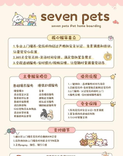 猫咪乌鸦游戏攻略,轻松通关技巧,新手必备指南 猫咪乌鸦游戏攻略,轻松通关技巧,新手必备指南