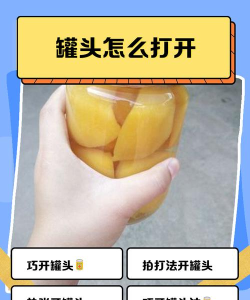 升级罐头游戏怎么玩,掌握核心规则,轻松成为游戏高手 升级罐头游戏怎么玩,掌握核心规则,轻松成为游戏高手