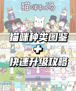 猫咪游戏煮饭攻略,解锁趣味玩法,轻松成为厨房高手 猫咪游戏煮饭攻略,解锁趣味玩法,轻松成为厨房高手
