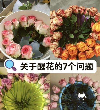 召唤花朵游戏怎么玩,新手入门指南,快速掌握技巧 召唤花朵游戏怎么玩,新手入门指南,快速掌握技巧