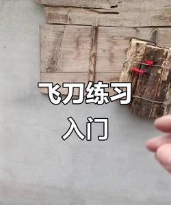 飞刀打水果什么游戏,趣味休闲挑战,精准投掷技巧 飞刀打水果什么游戏,趣味休闲挑战,精准投掷技巧