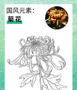 菊花开游戏攻略,轻松上手技巧,快速通关秘籍 菊花开游戏攻略,轻松上手技巧,快速通关秘籍