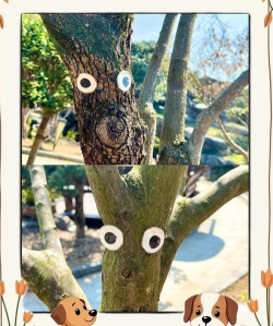 治愈树洞游戏攻略,轻松上手技巧,快速通关秘籍 治愈树洞游戏攻略,轻松上手技巧,快速通关秘籍