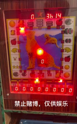 投钱币叫什么游戏,揭秘传统投币玩法,体验趣味童年回忆 投钱币叫什么游戏,揭秘传统投币玩法,体验趣味童年回忆