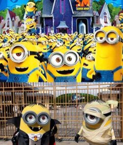 大阪环球游戏攻略,畅玩热门项目,规划完美行程 大阪环球游戏攻略,畅玩热门项目,规划完美行程