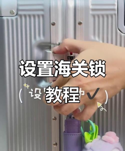 海关游戏ipad攻略,掌握通关技巧,解锁隐藏玩法 海关游戏ipad攻略,掌握通关技巧,解锁隐藏玩法