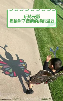 影子玩偶是什么游戏,探索独特玩法,揭秘创意魅力 影子玩偶是什么游戏,探索独特玩法,揭秘创意魅力