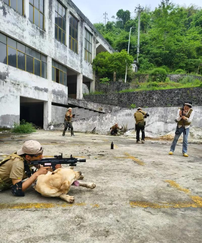 最真实军事手游,沉浸战场体验,还原硬核战术对抗 最真实军事手游,沉浸战场体验,还原硬核战术对抗