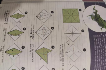 折纸仆人游戏攻略,轻松上手技巧,快速通关秘籍 折纸仆人游戏攻略,轻松上手技巧,快速通关秘籍