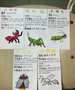 虫子卡片游戏怎么玩,掌握核心规则,轻松上手体验乐趣 虫子卡片游戏怎么玩,掌握核心规则,轻松上手体验乐趣