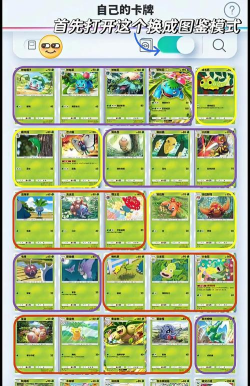 宝可梦TCG卡牌一周年更新内容全解析 宝可梦TCG卡牌一周年更新内容全解析