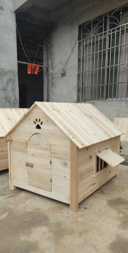 梦之形叶狗窝是什么 梦之形叶狗窝是什么