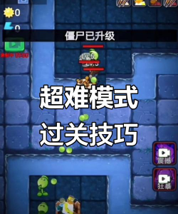 再不躺平游戏攻略,轻松通关技巧,快速提升段位 再不躺平游戏攻略,轻松通关技巧,快速提升段位